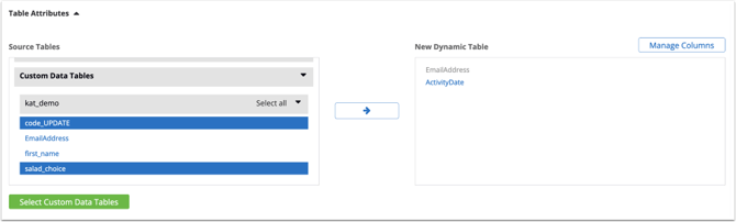 Audience_Data_DDT_Attributes