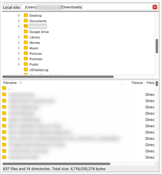 FTP_Local-Site-Directory