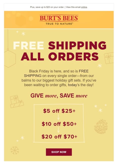 burts bees black friday email